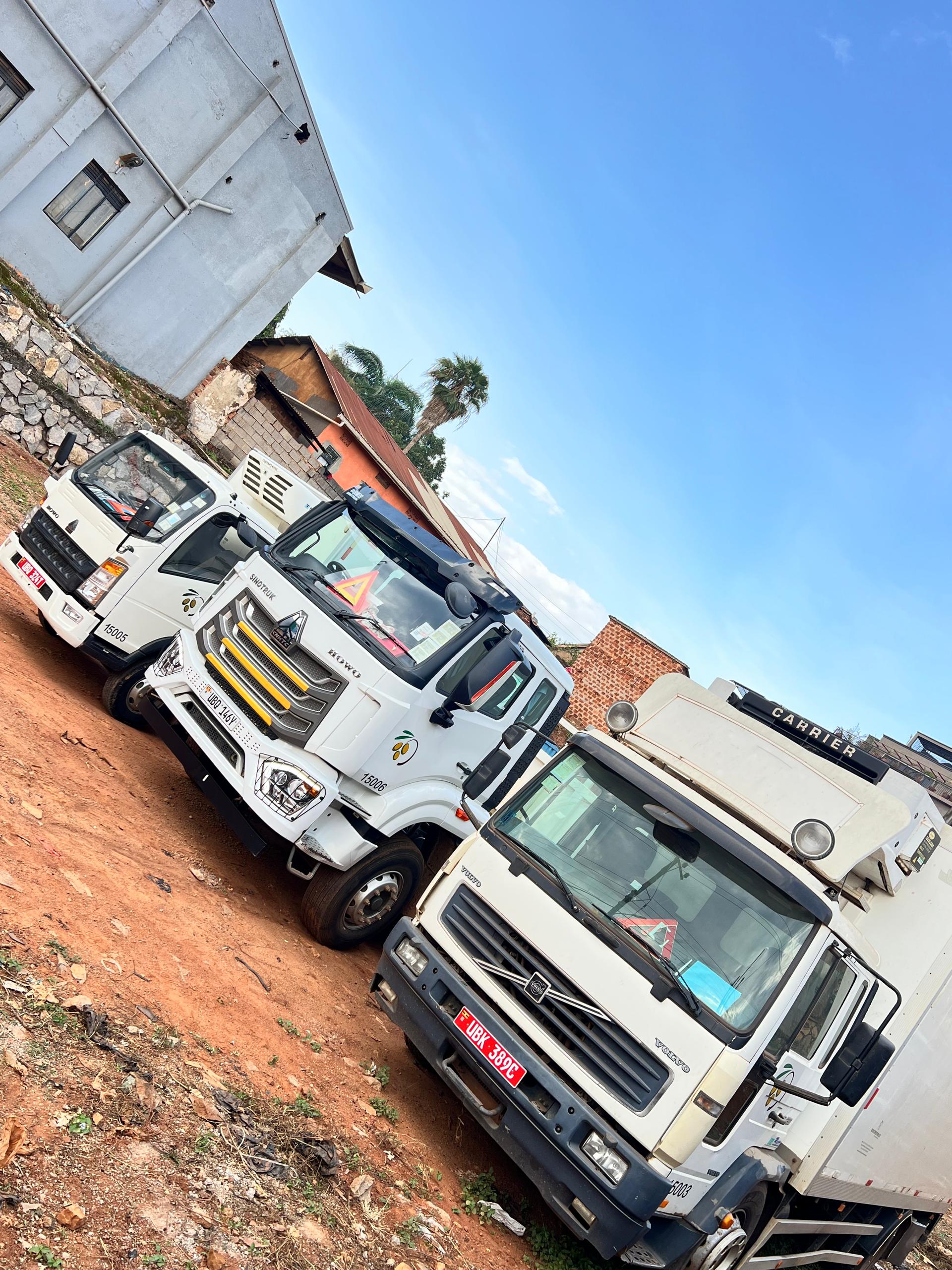 Olives Organic Foods export logistics truck